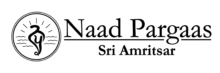 Naadpargaas